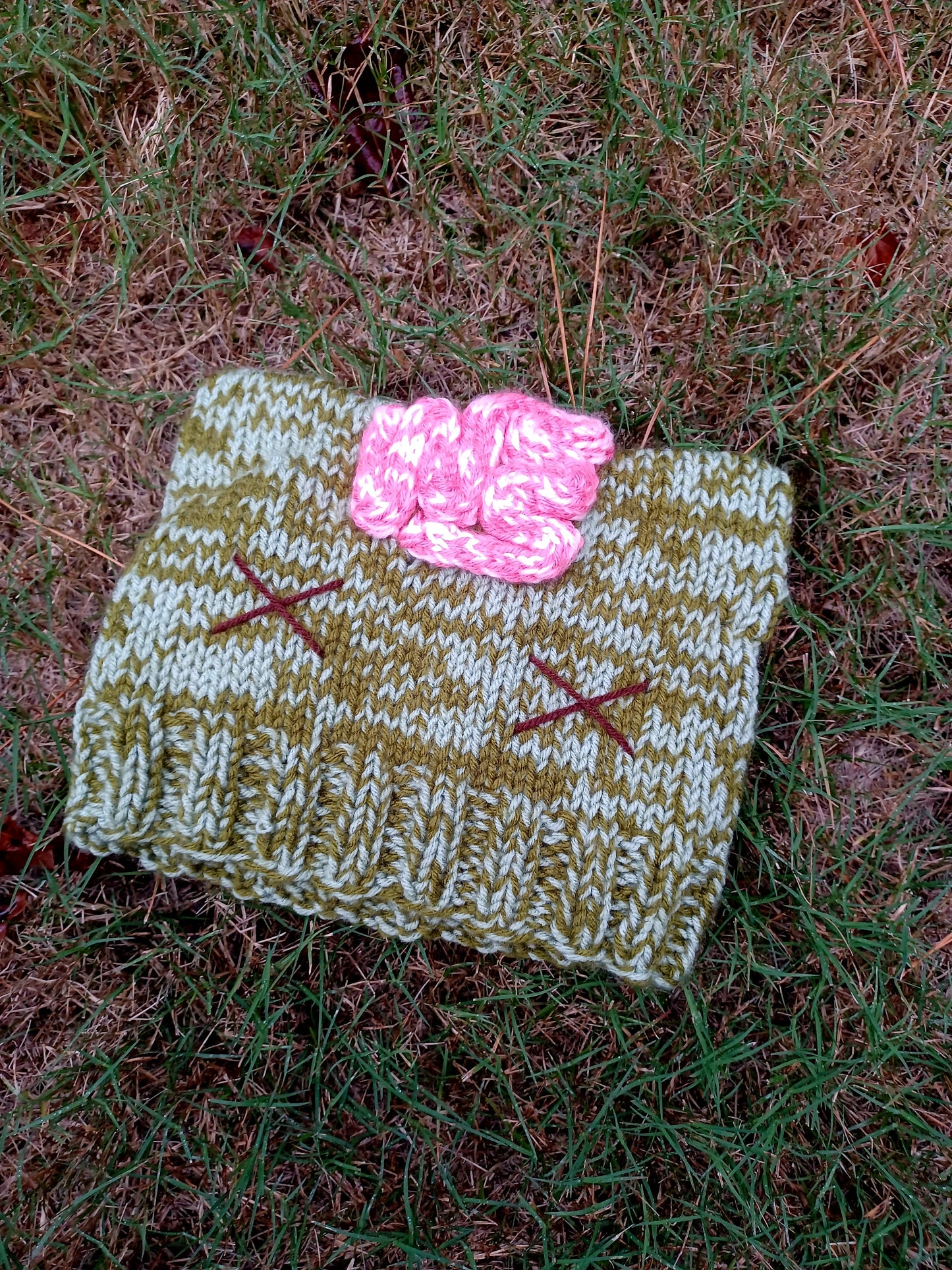 'Brains for Breakfast' Knitted Cat Hat