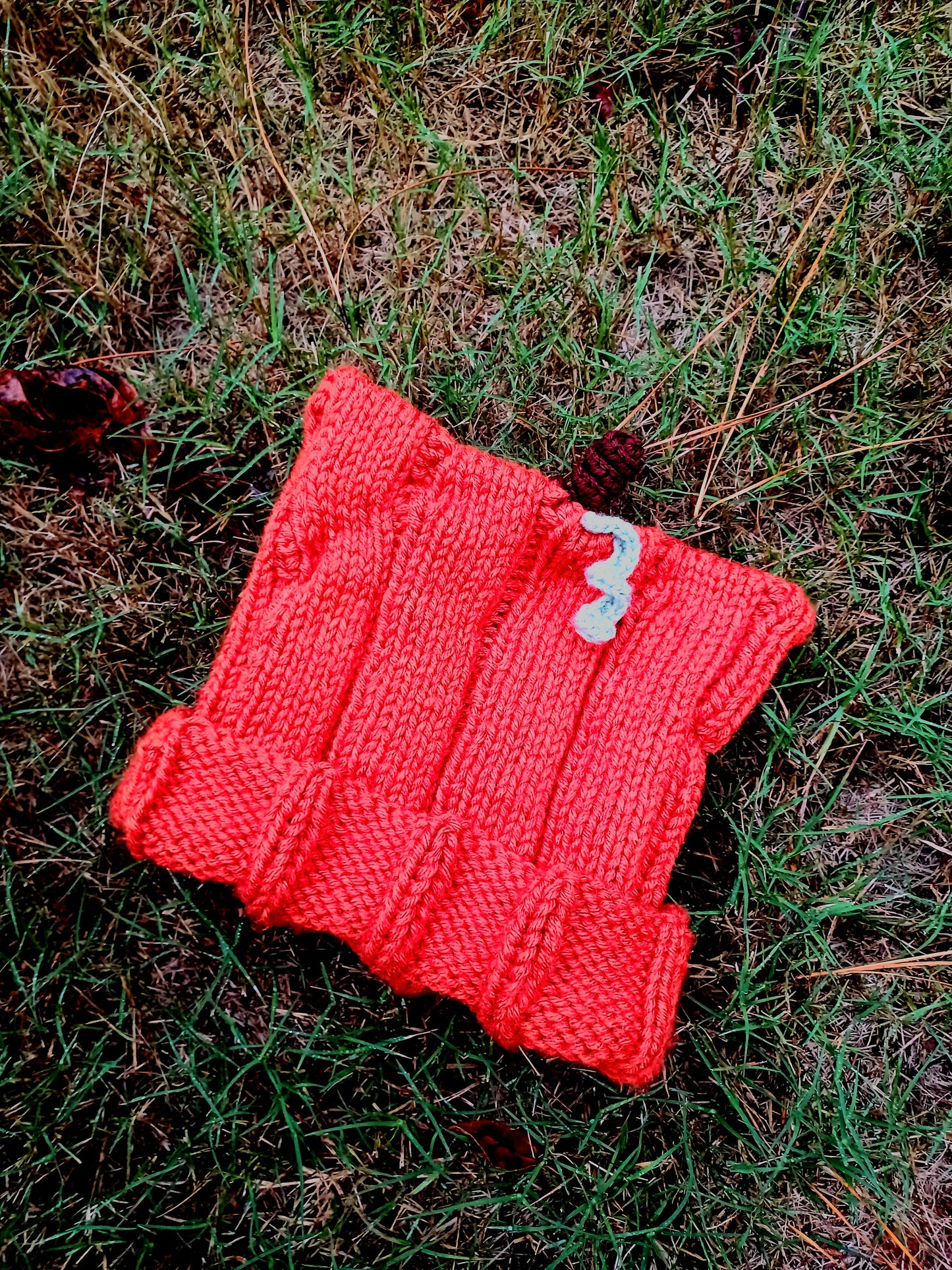 'Pumpkin Cutie' Knitted Cat Hat