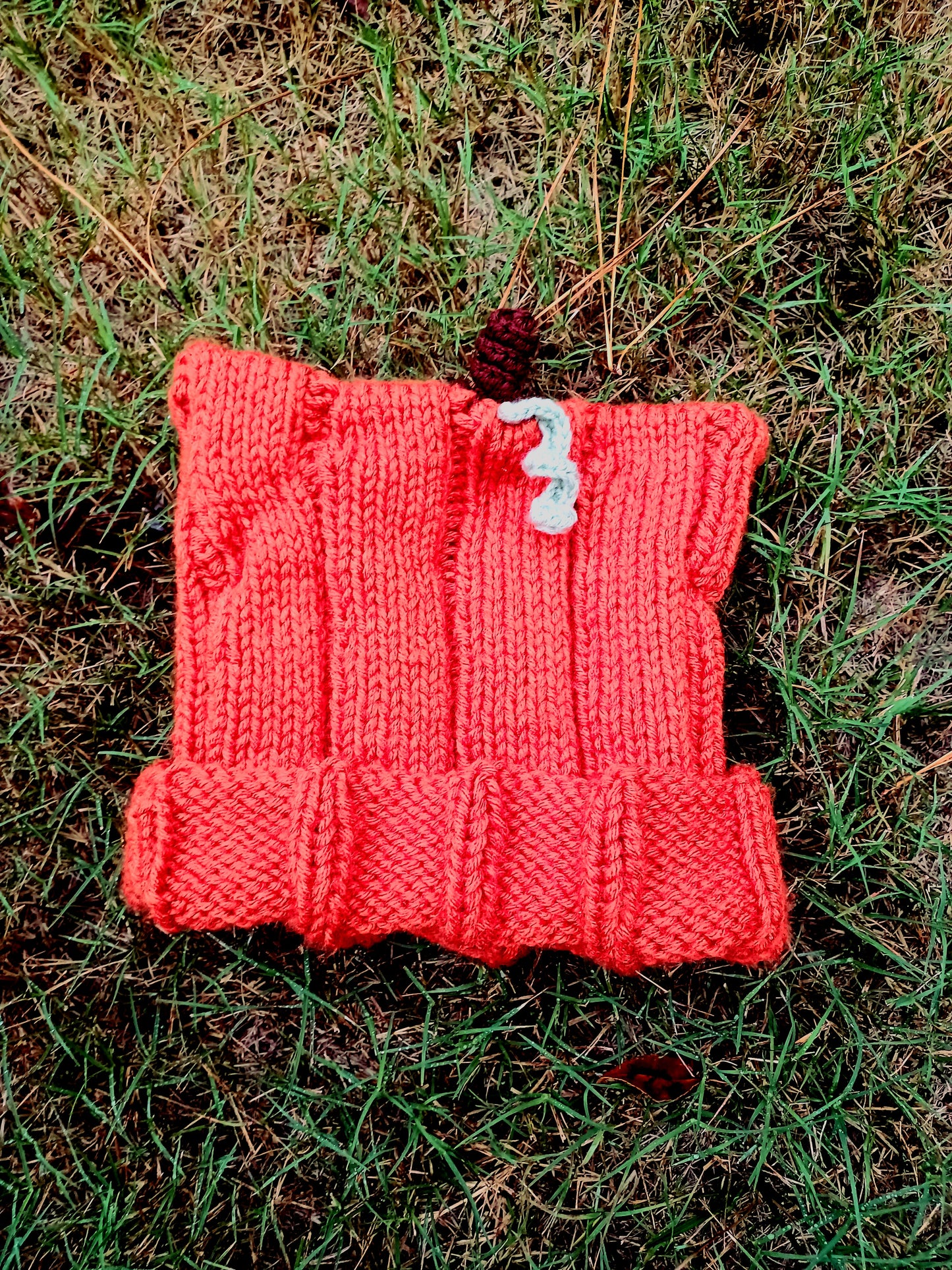 'Pumpkin Cutie' Knitted Cat Hat